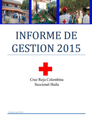 Informe de Gestión 2015